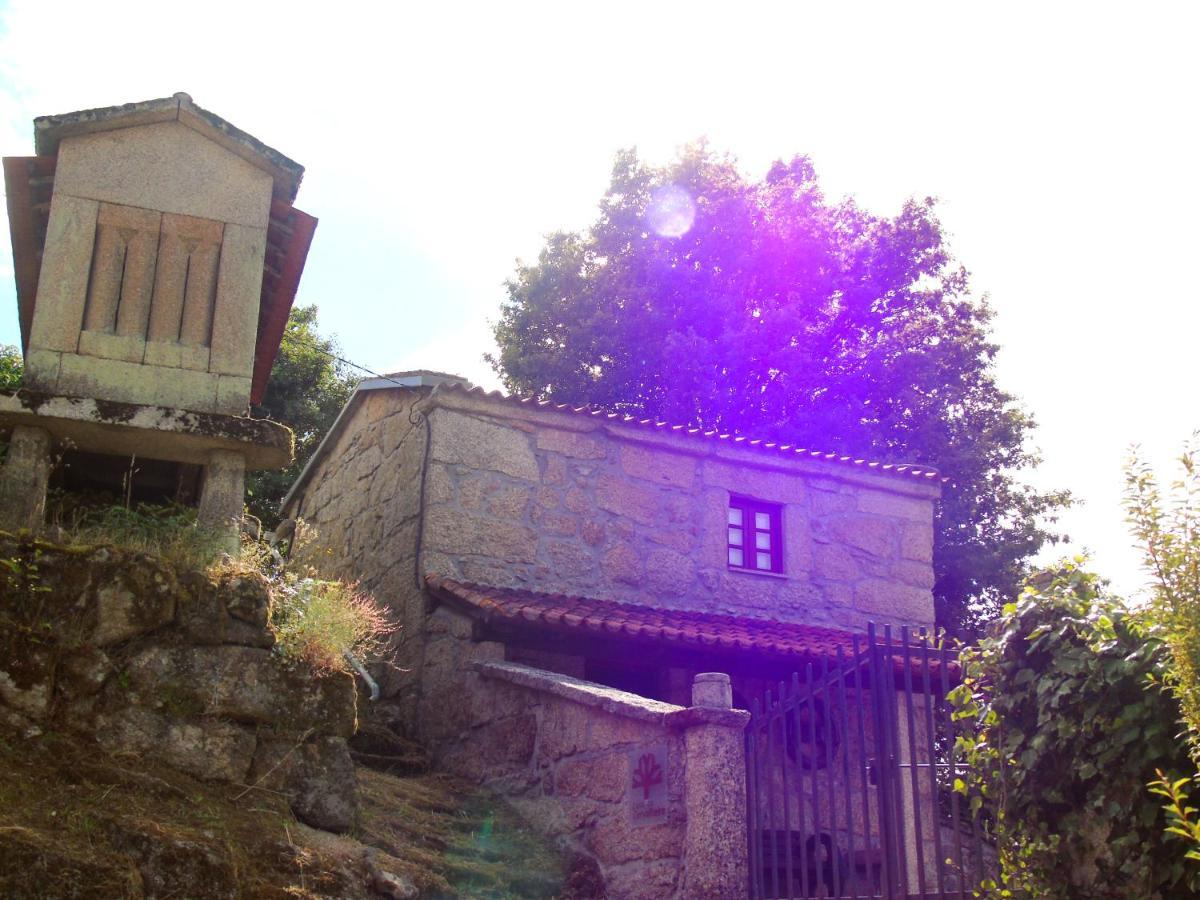 Casa Da Carvalheira Villa Parada  Buitenkant foto